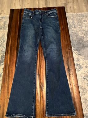 American Eagle Outfitters Dark Blue Flare Jeans